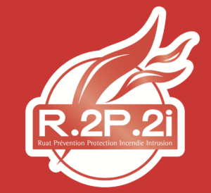R2P2i